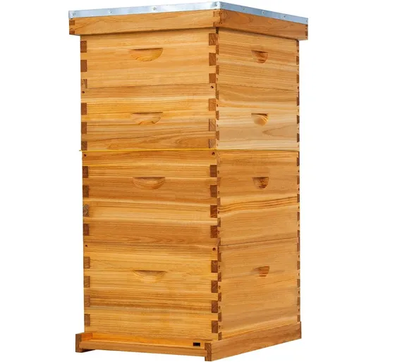 Complete 10-frame Langstroth beehive kit with brood boxes and supers