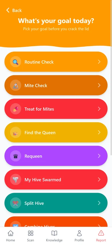 Goal Select Screen