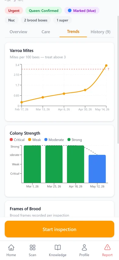Trends Screen