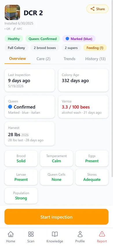 Hive Overview Screen