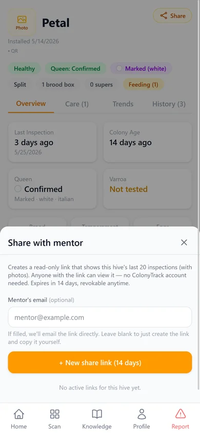 Mentor Share