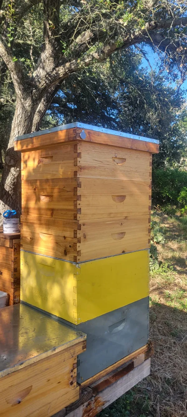 ColonyTrack NFC tag mount on painted Langstroth beehive in apiary