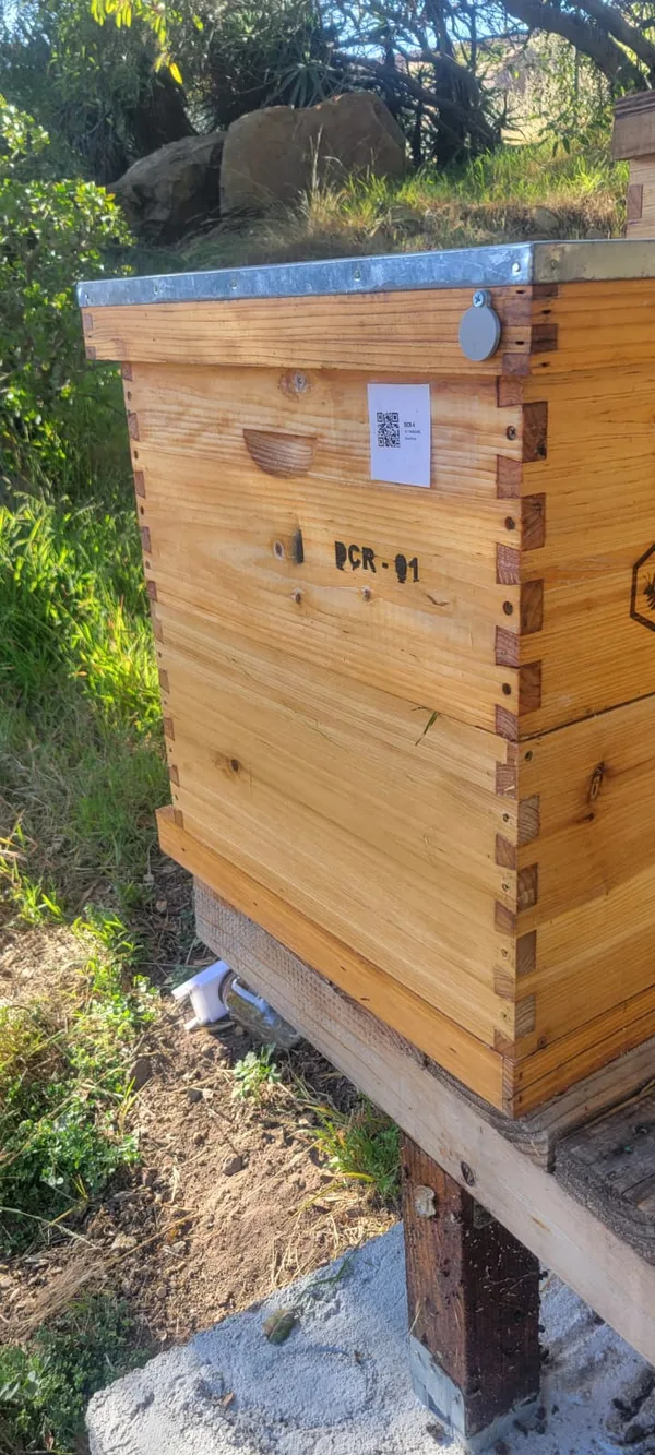 ColonyTrack NFC mount and QR sticker installed on cedar Langstroth hive