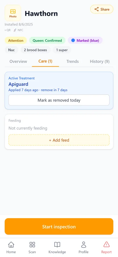 Treatment Screen